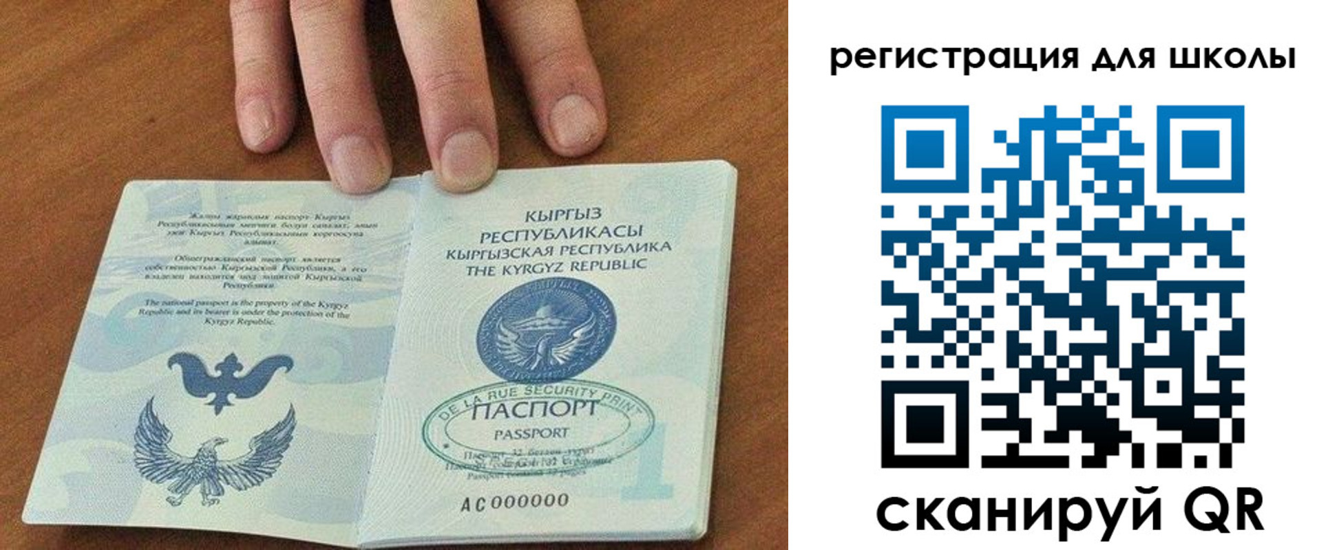 временная регистрация 2025 в Завитинске